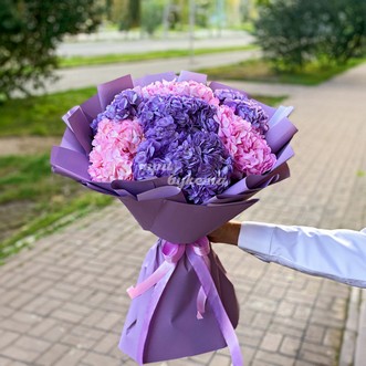 7 розовых и фиолетовых гортензий 7 розовых и фиолетовых гортензий