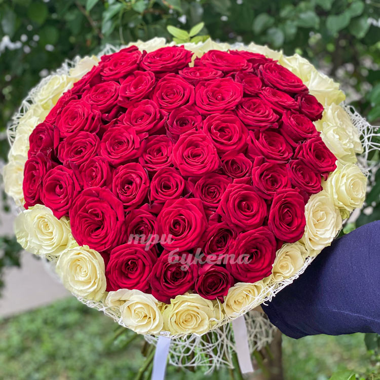 71 роза сердцем (на фоне зелени)