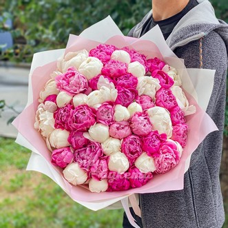 51 пион 51 пион