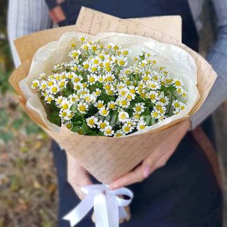 Букет из 13 ромашек Букет из 13 ромашек