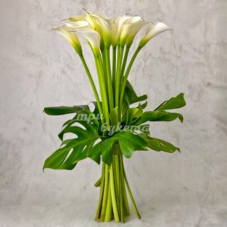 Дюжина белых калл