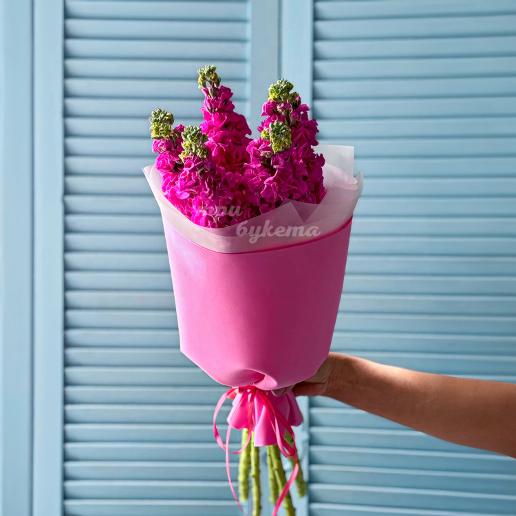 Яркий букет из 5 розовых маттиол