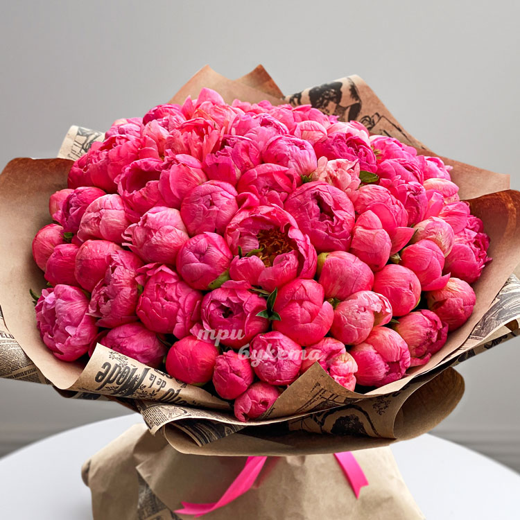 Букет из 55 коралловых пионов в крафте (крупный план)