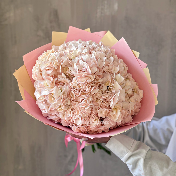 Букет из 3 персиковых гортензий (вид сверху)