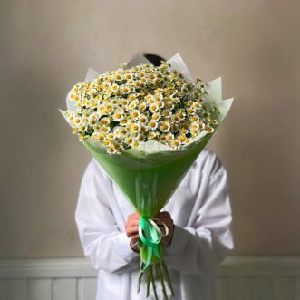 Зеленый букет из 11 танацетумов Зеленый букет из 11 танацетумов