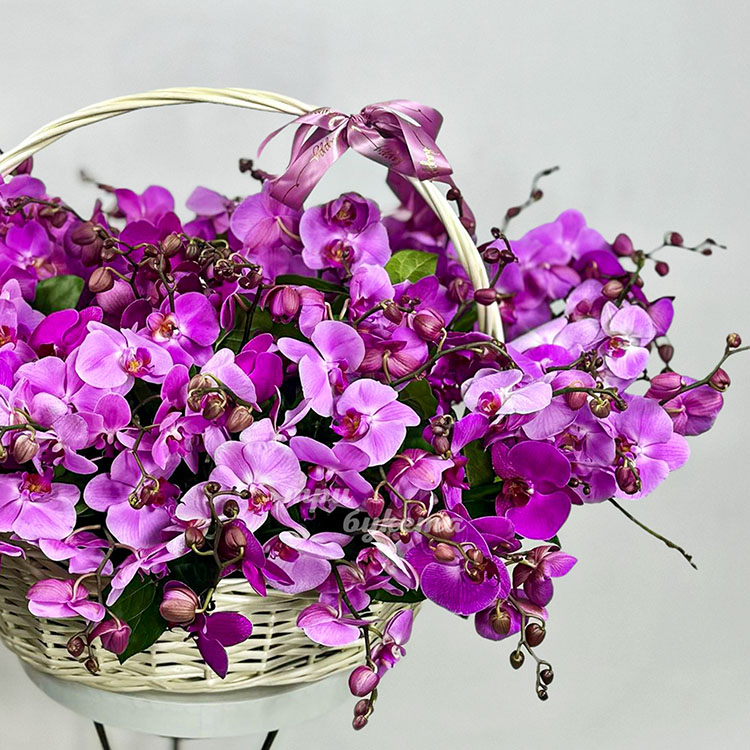 Большая корзина сиреневых орхидей (крупный план 1)